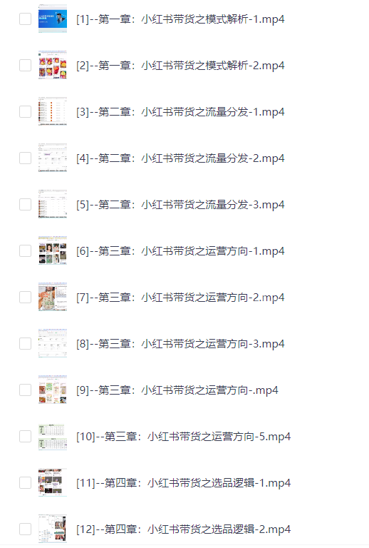 小红书带货陪跑营实操第17期课程